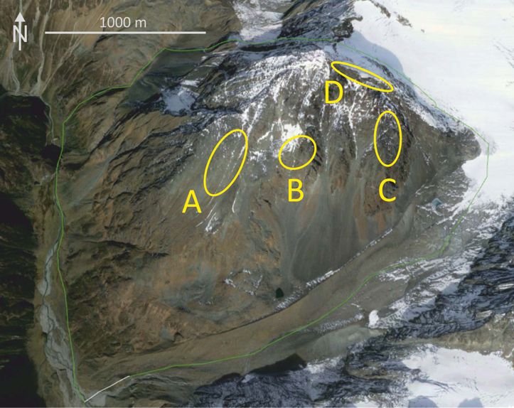 Top view of Schrankogel with four transect areas (A-D) and the shape of the
transects composed of 1x1m permanent plots.