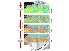 Species richness is in the present situation highest at the alpine-nival ecotone itself.
With increasing temperature, this pattern will disintegrate. With 1°C warming (level 3),
biodiversity will shrink remarkably, getting 'trapped' in
specific terrain situations (level 4). Low (cyan), moderate (yellow), high (magenta) species richness.