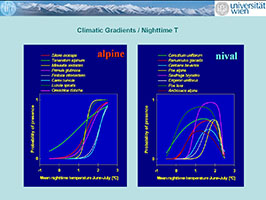 Nighttime temperature is one of the key factors for plant growth in high mountains.
Measured in the early summer period (June-July), alpine species on Schrankogel show an
optimum higher than 2°C, while nival species persist at lower temperatures (1 to 2 °C).