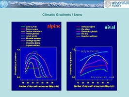 Today, May to July is the period of snowmelt in the high Alps. While alpine species
cannot survive on places where snow persist until end of June, nival species find optimal conditions there.