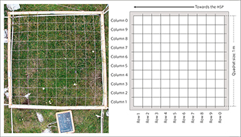 Grid frame for species frequency counts. Left,grid frame mounted on a plot;
right, scheme of the 1m×1m grid frame, subdivided into 0.1m×0.1m cells
for recording species presence and grazing-related features in each cell.