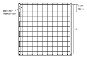 THE 1-m2 quadrats. The pointing frame.