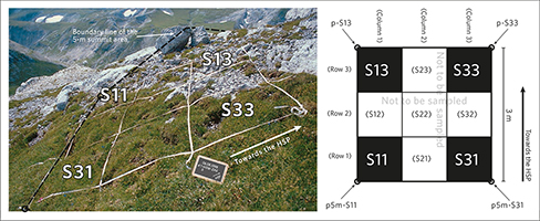 The 3 m × 3 m quadrat cluster. Left, example from the NE-Alps (2250 m),
quadrat cluster in the S-direction; right, scheme of the quadrat cluster with the
quadrat codes and numbers of the measurement points (corner points).