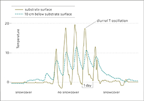 In each 3m x 3m quadrat cluster in one-hour intervals to compare changes of the temperature